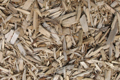 biomass boilers Rhydymain