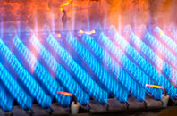 Rhydymain gas fired boilers